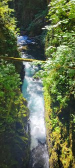 20240706_165457.jpg 20240706_165457.jpg
