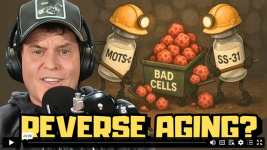 AMA.png AMA.png