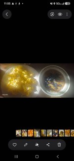 Screenshot_20260927_110531_Gallery.jpg